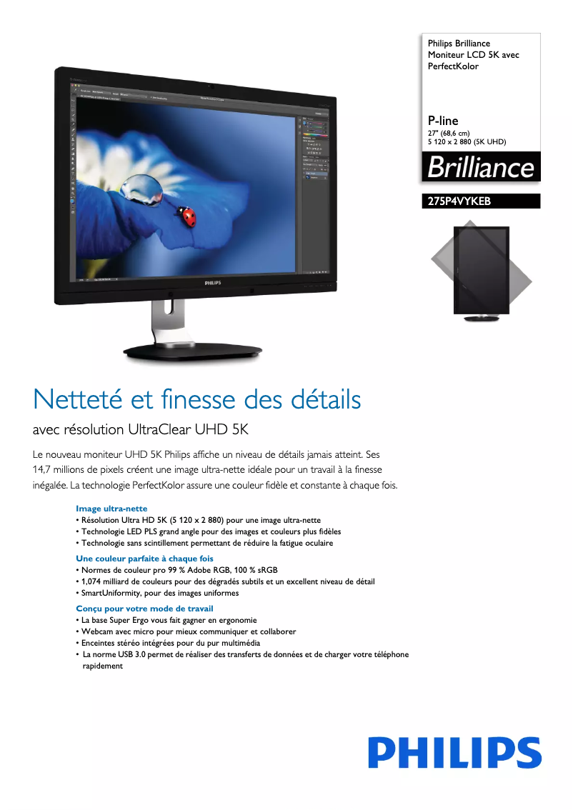 First page image of the manual for Brilliance 275P4VYKEB