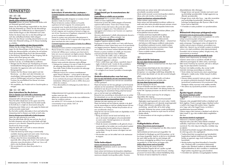 Page 1 of the manual User Manual Ernesto IAN 93624