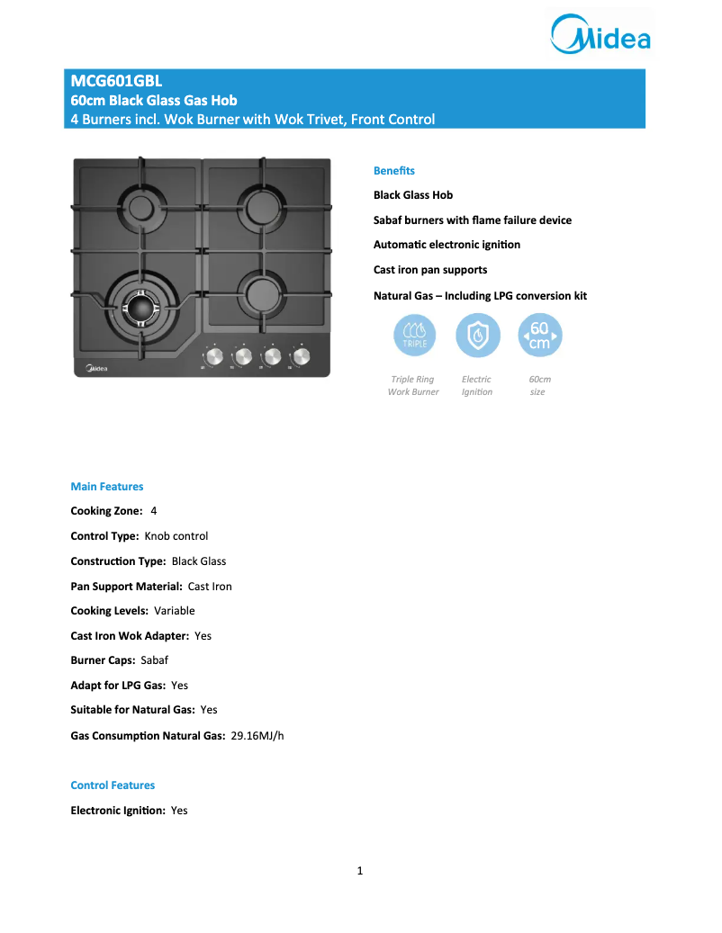 First page image of the manual for MCG601GBL