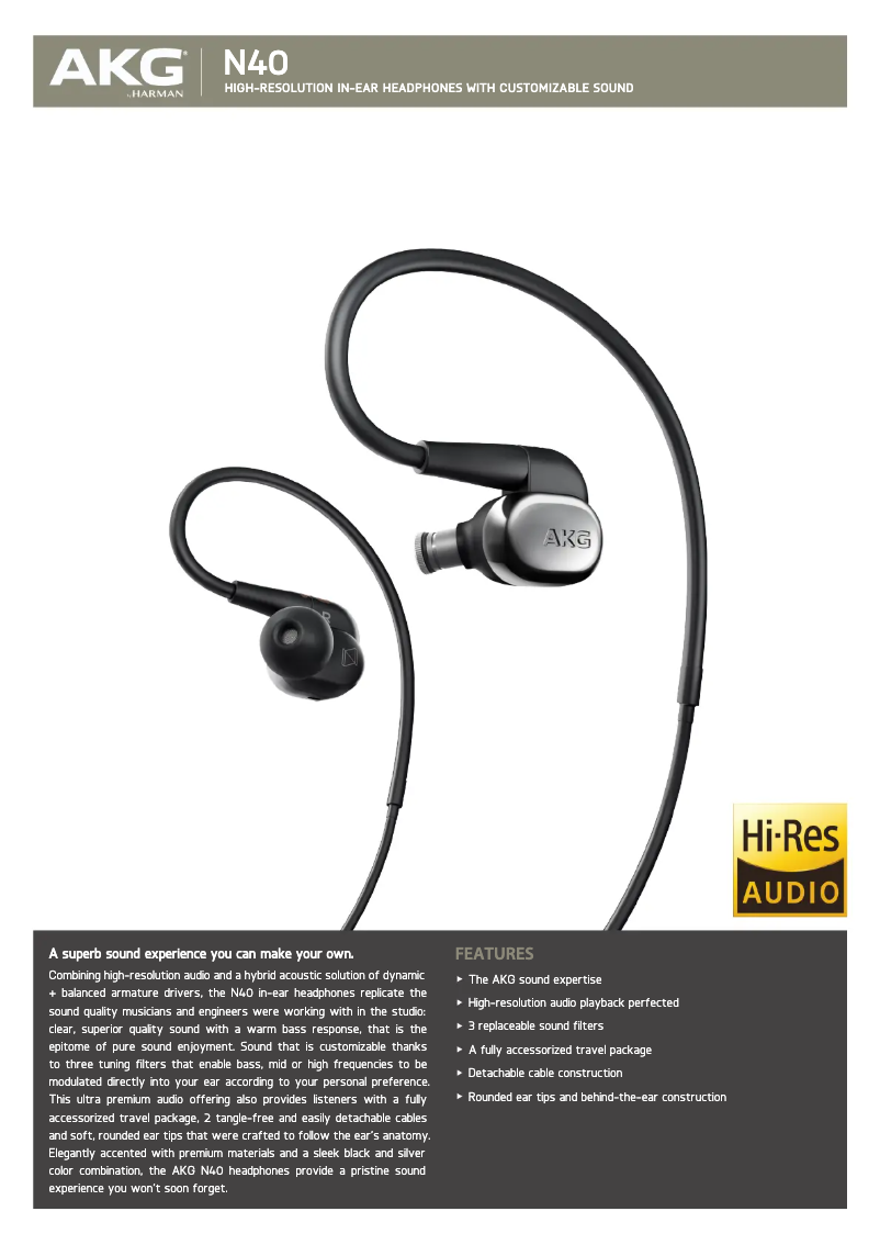 Page 1 of the manual Technical Sheet AKG N40