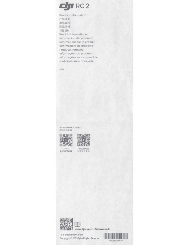 Page 1 of the manual User Manual DJI RC 2