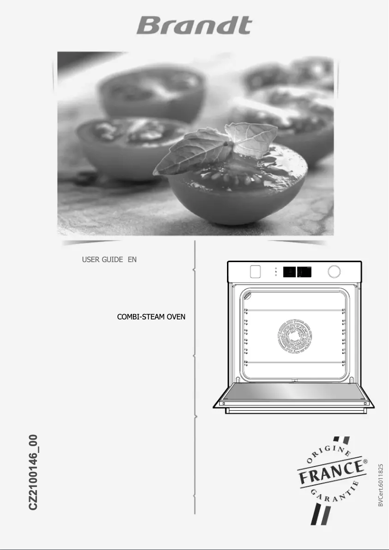 Page 1 of the manual User Manual Brandt BOR7586G