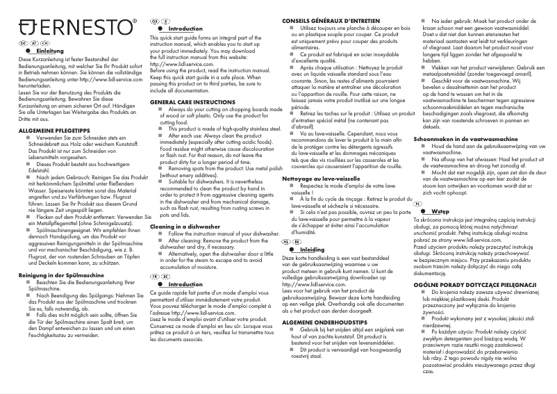 Page 1 de la notice Manuel utilisateur Ernesto HG01140