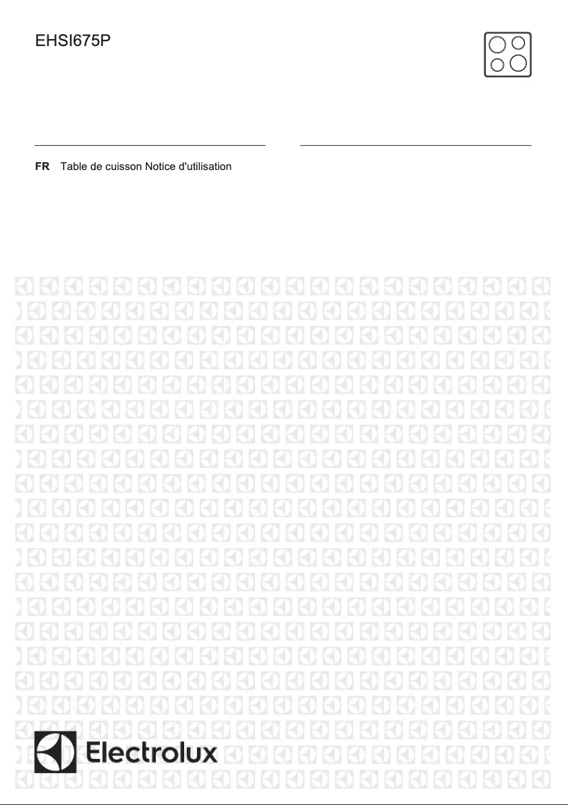 First page image of the manual for EHSI675P