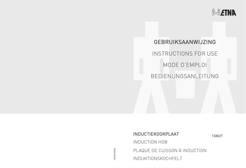 First page image of the manual for T380ZT