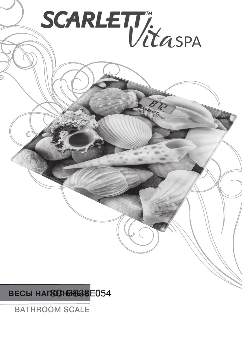 Image de la première page du manuel de l'appareil SC-BS33E054