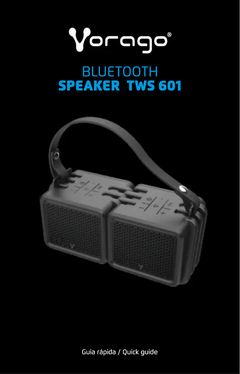 First page image of the manual for BSP-601