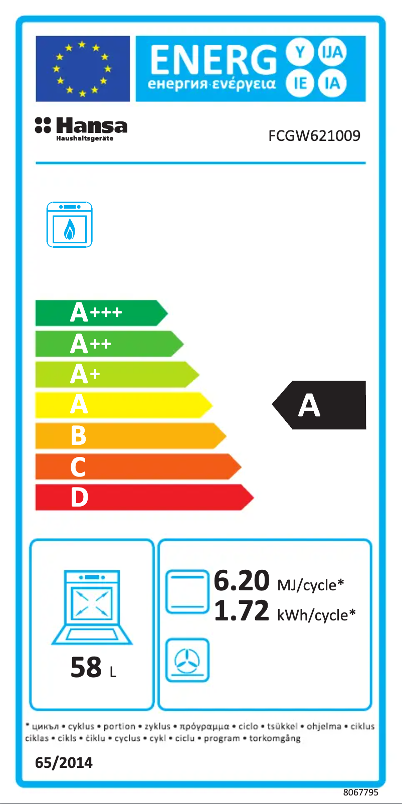 First page image of the manual for FCGW621009