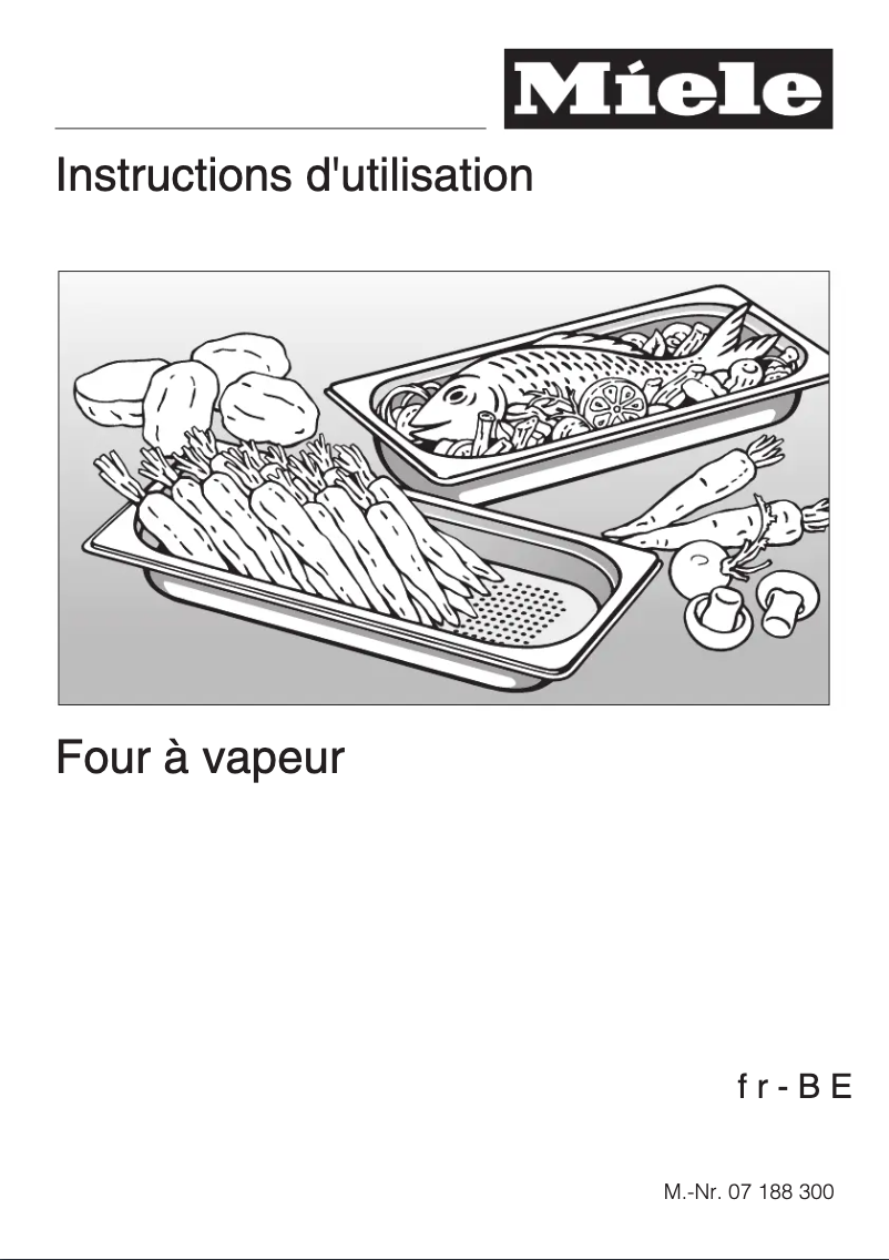 First page image of the manual for DG 5080