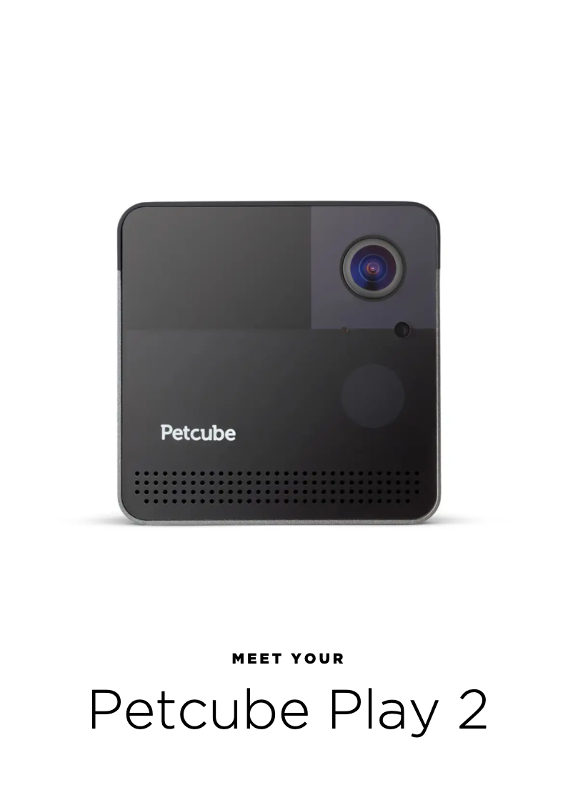 Page 1 of the manual User Manual Petcube Play 2