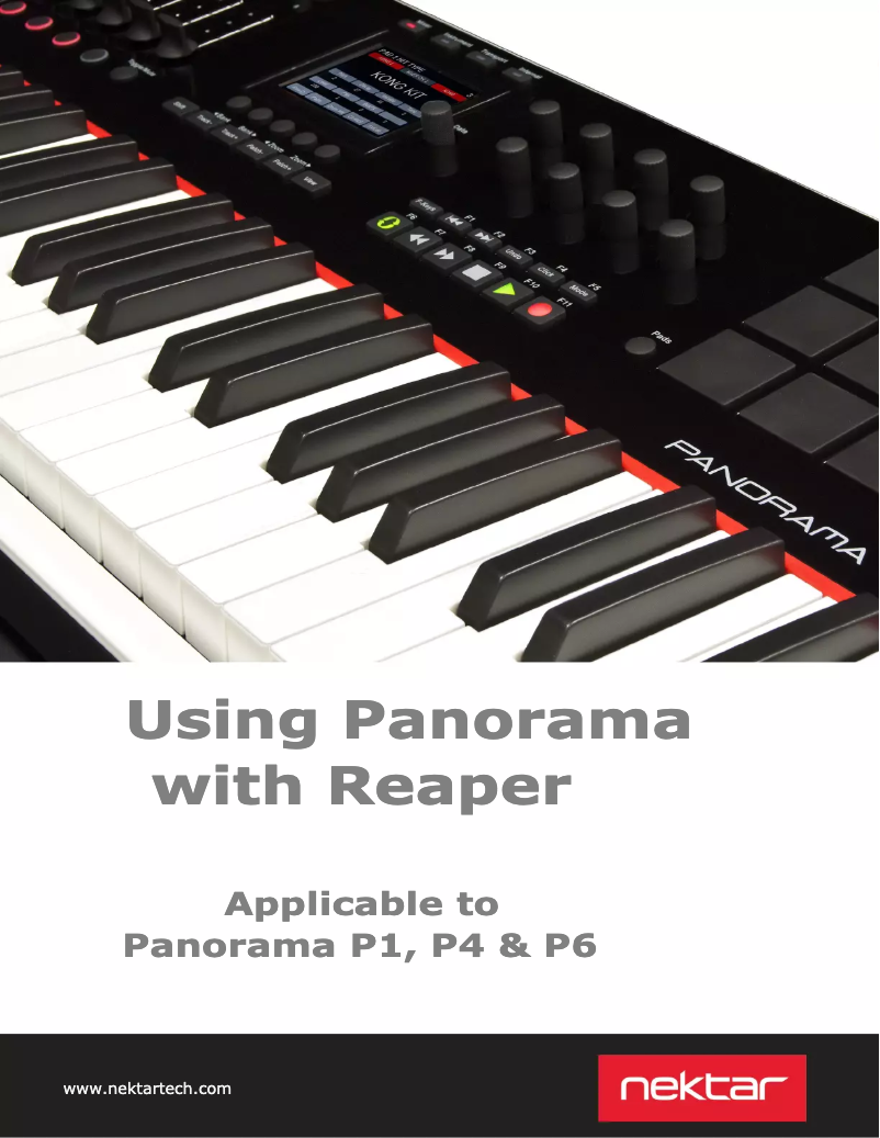 First page image of the manual for Panorama P1