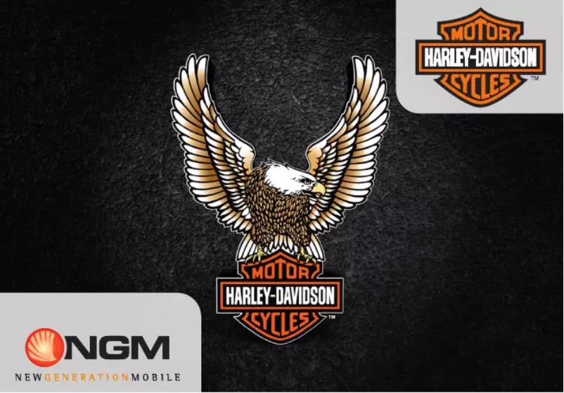 Page 1 of the manual User Manual NGM-Mobile Harley-Davidson