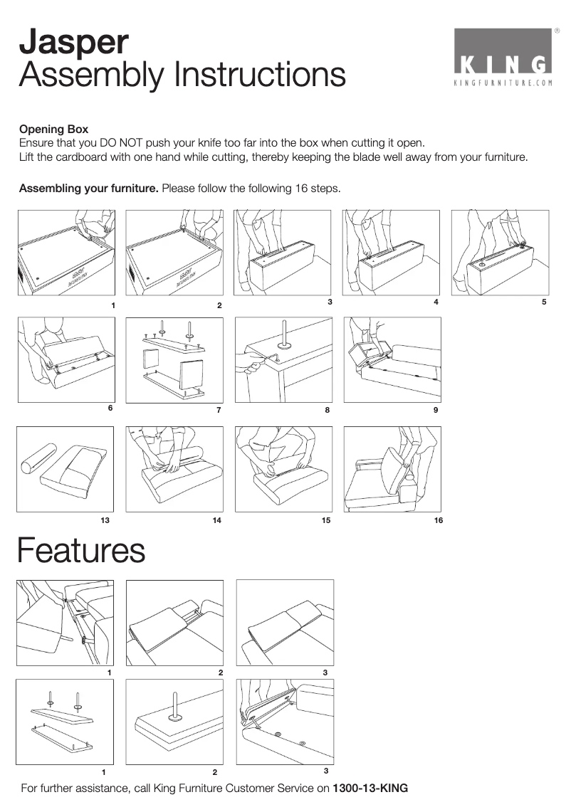 Page 1 of the manual User Manual King Jasper