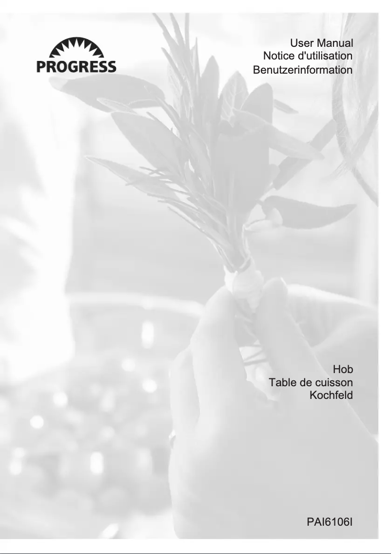 Page 1 of the manual User Manual Progress PAI6106I