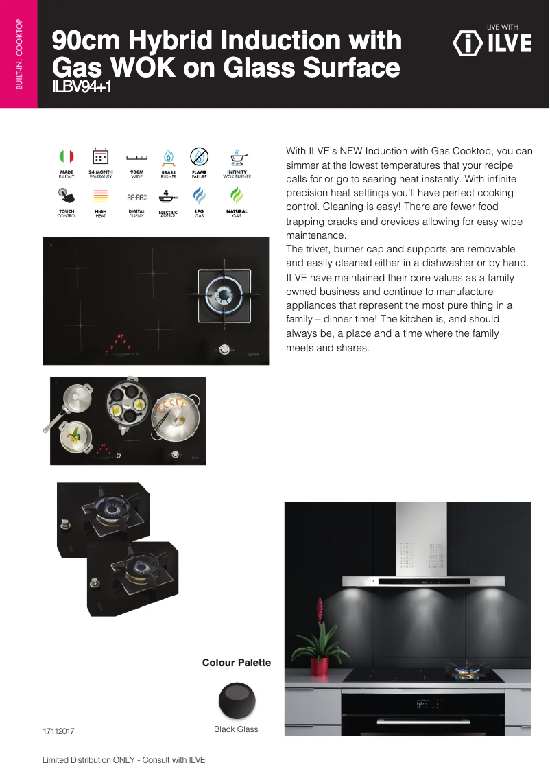 First page image of the manual for ILBV94+1