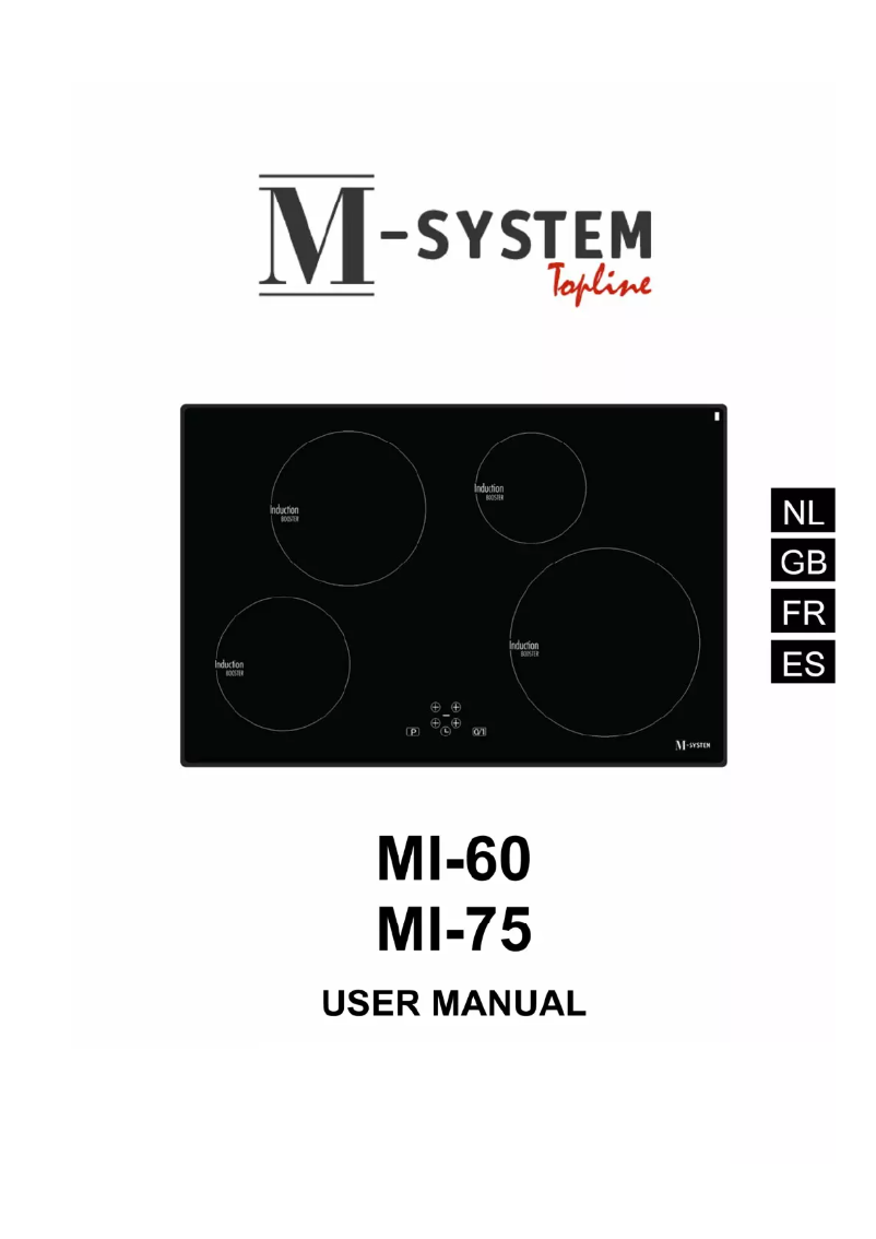 Page 1 of the manual User Manual M-System MI-60