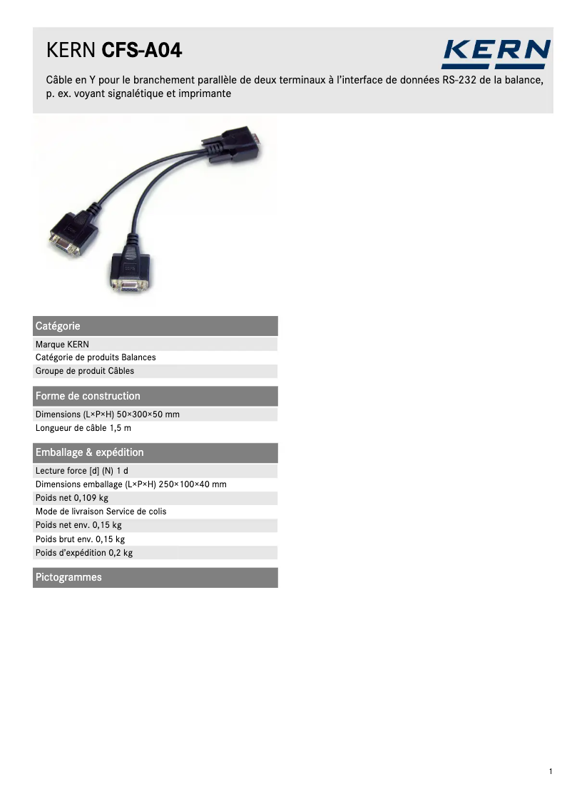 Page 1 of the manual Technical Sheet Kern CFS-A04