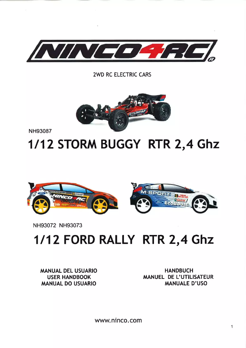 First page image of the manual for Buggy Storm