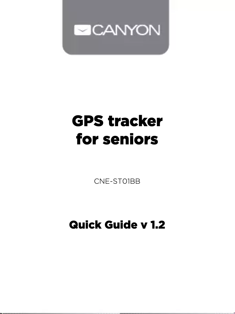 First page image of the manual for ST-01