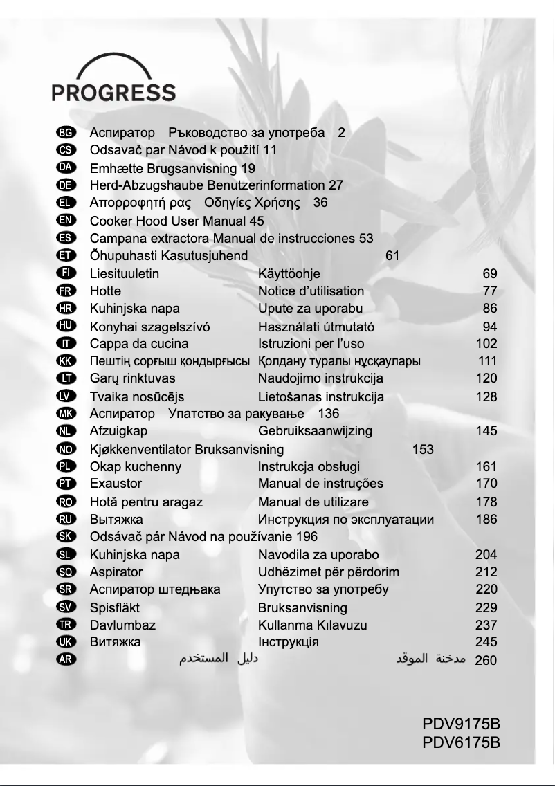 Page 1 of the manual User Manual Progress PDV9175B