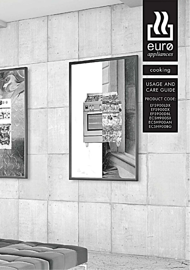 Page 1 of the manual User Manual Euro Appliances ECSH900AN