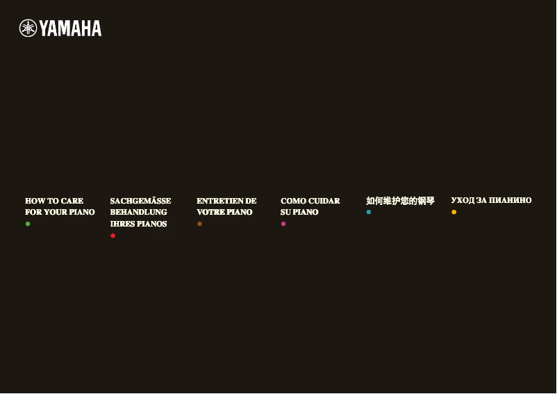 First page image of the manual for A1