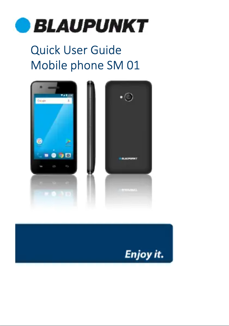 Page 1 de la notice Manuel utilisateur Blaupunkt SM 01