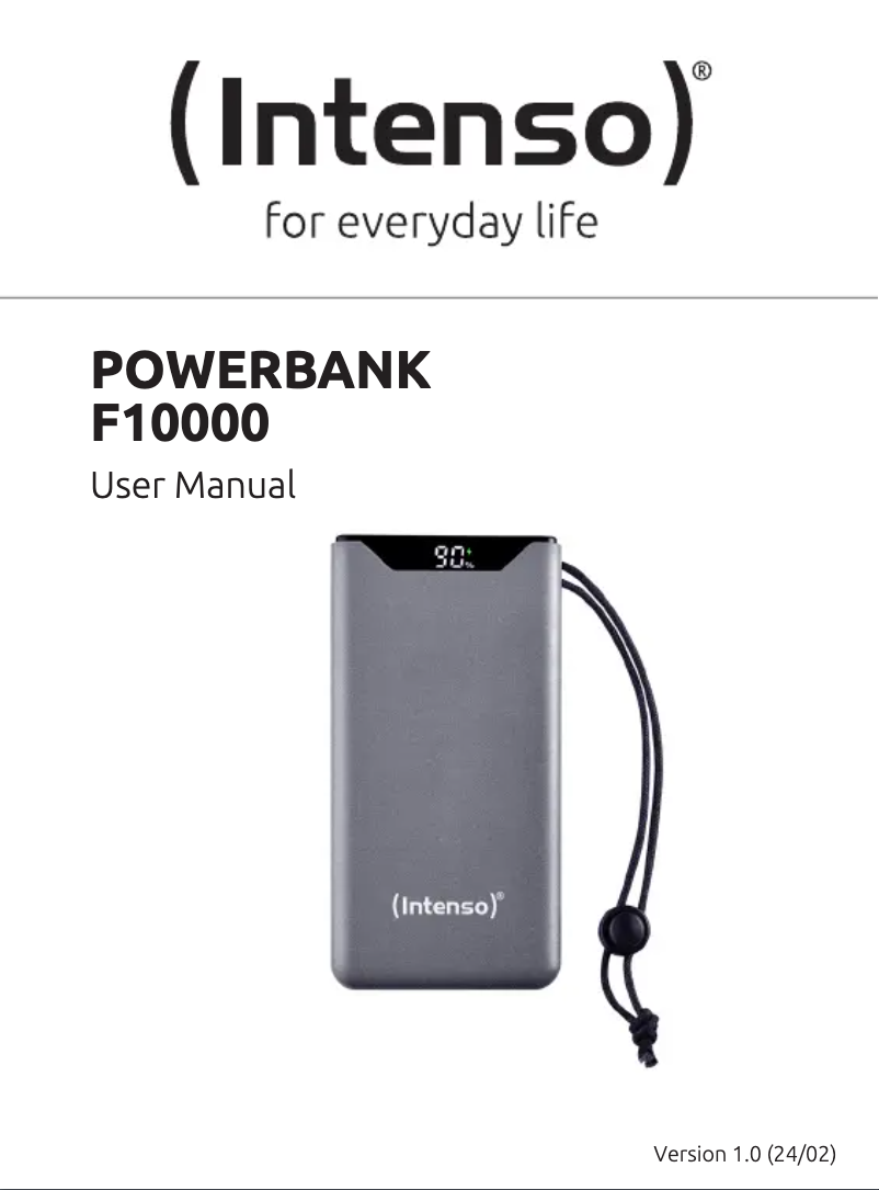 Page 1 of the manual User Manual Intenso F20000