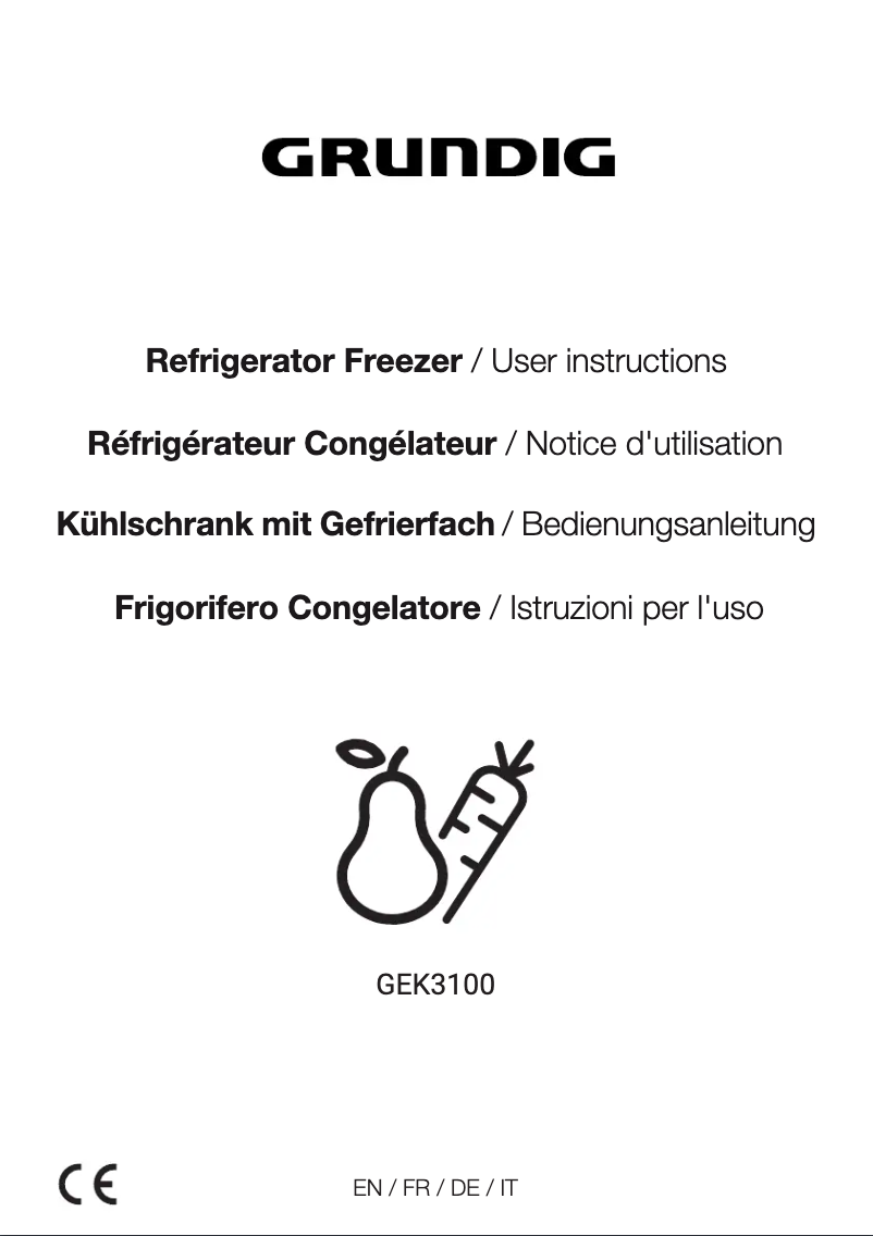 Page 1 of the manual User Manual Grundig GEK3100