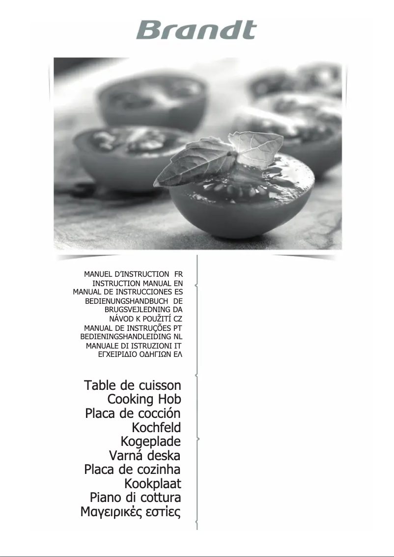 Page 1 of the manual User Manual Brandt BPI6328UB