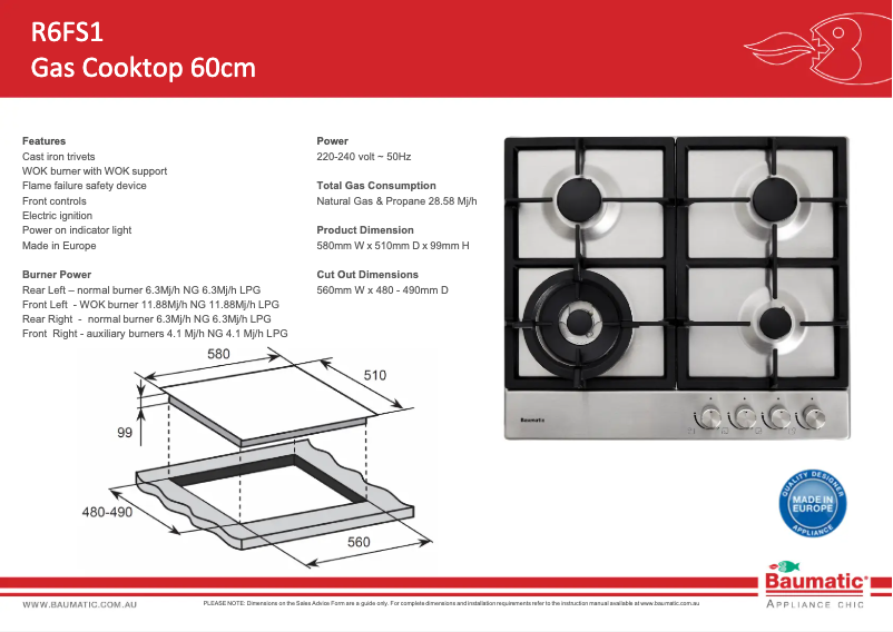 Page 1 of the manual Technical Sheet Baumatic R6FS1