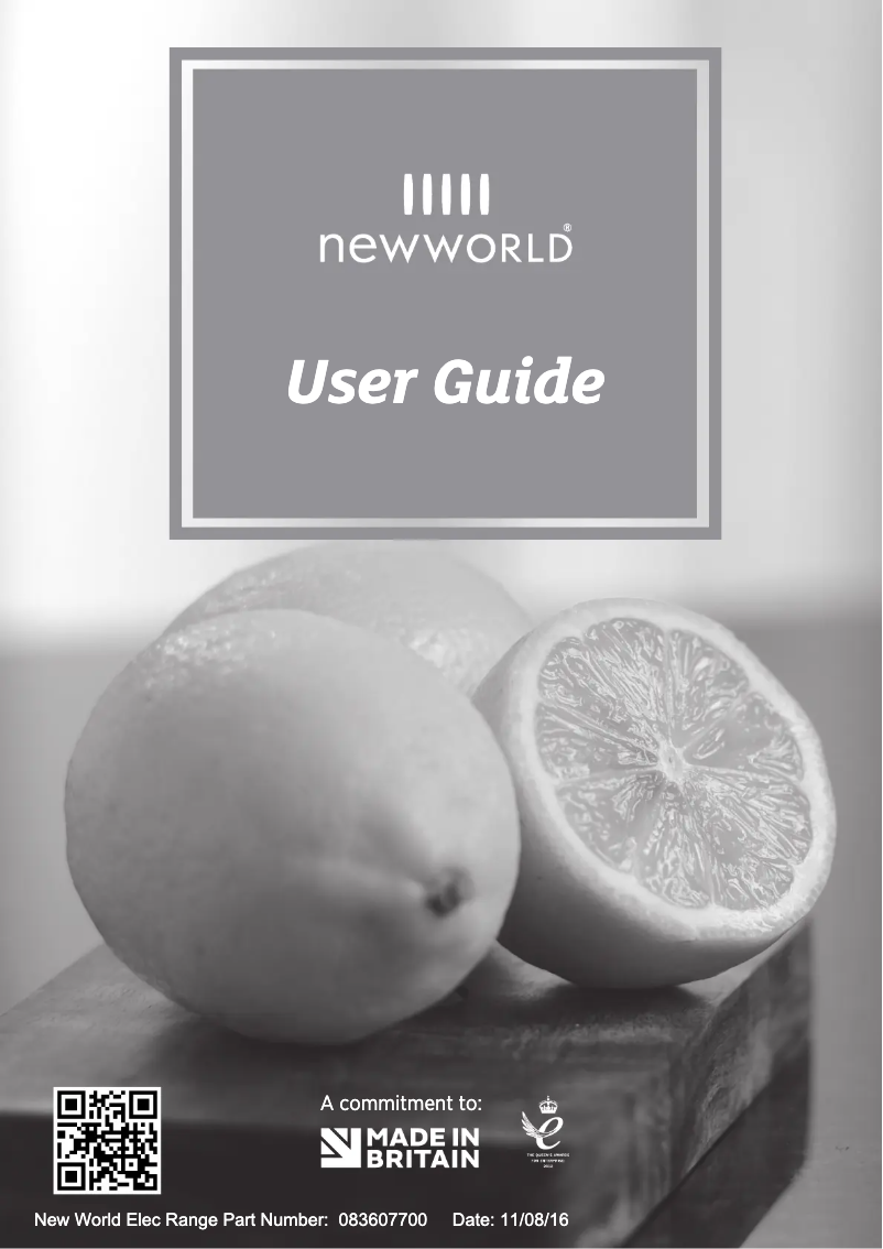 First page image of the manual for Vision 100E