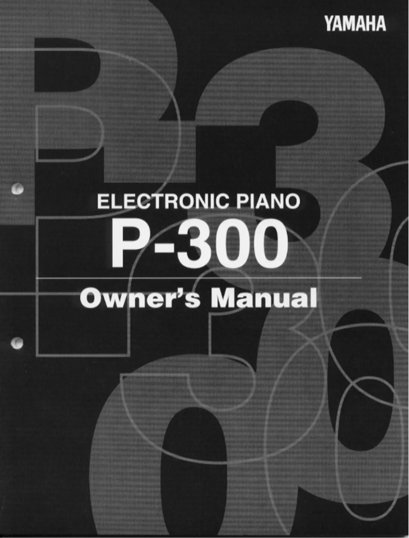First page image of the manual for P-300