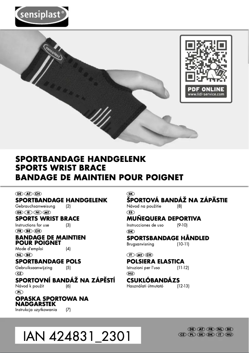 First page image of the manual for IAN 424831