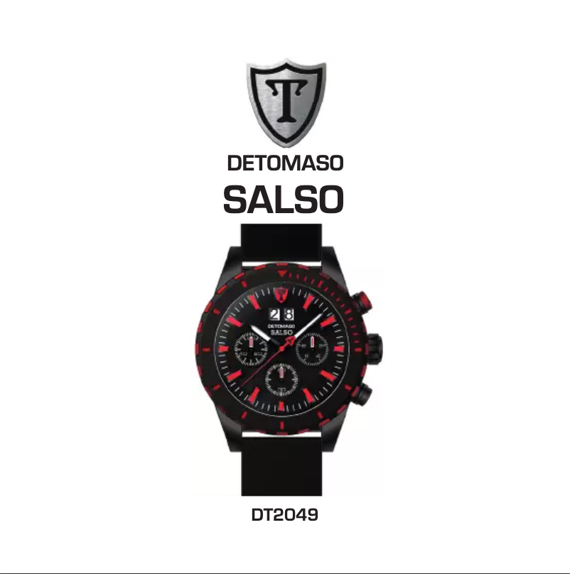 Page 1 of the manual User Manual Detomaso Salso DT2049