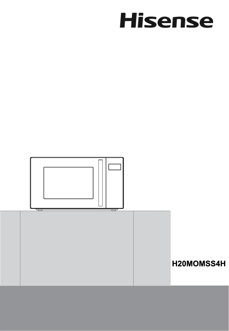 Page 1 of the manual User Manual Hisense H20MOMSS4H
