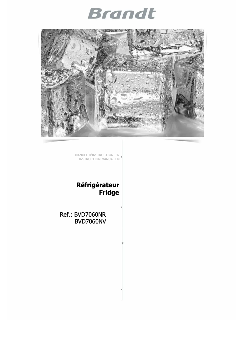 Page 1 of the manual User Manual Brandt BVD7060NV