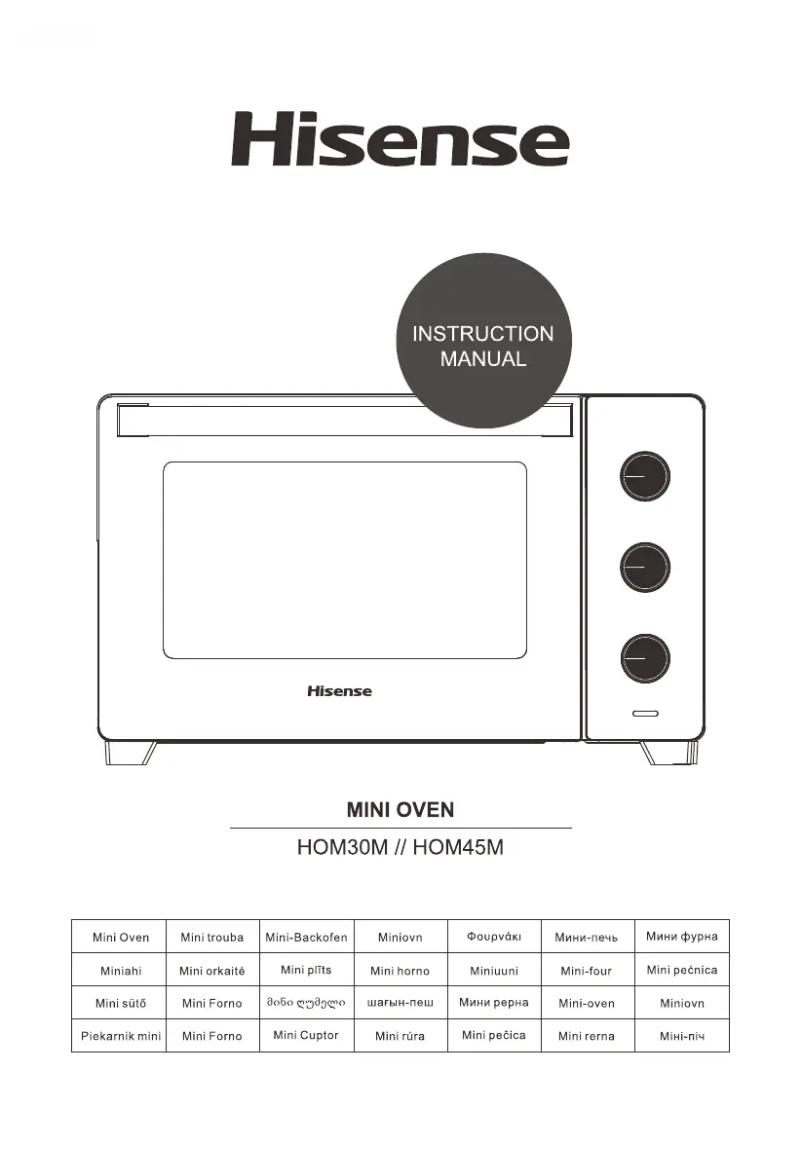 Page 1 of the manual User Manual Hisense HOM30M