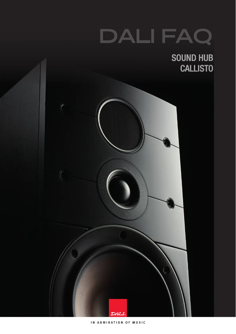 First page image of the manual for Callisto 6 C