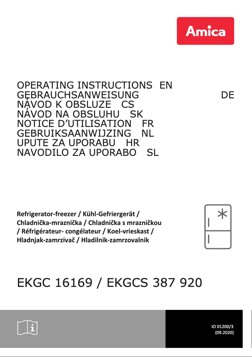 Page 1 of the manual User Manual Amica EKGCS 387 920