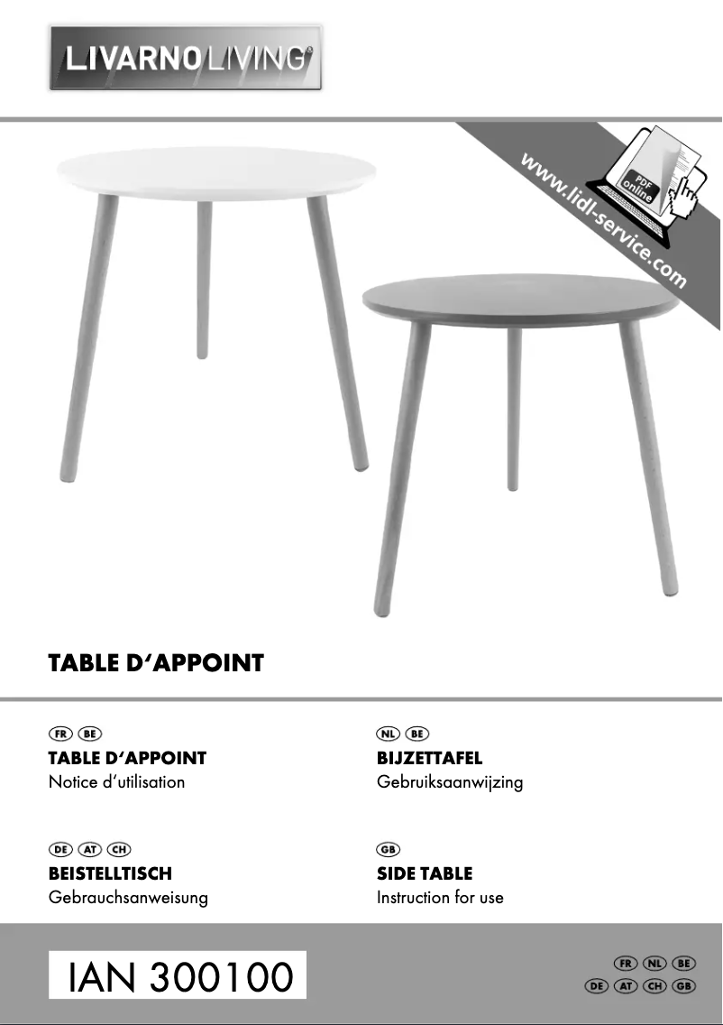 First page image of the manual for IAN 300100