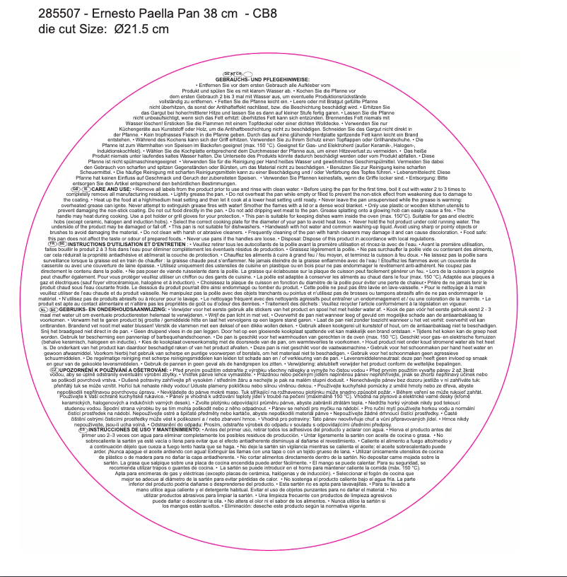 Page 1 of the manual User Manual Ernesto IAN 285507