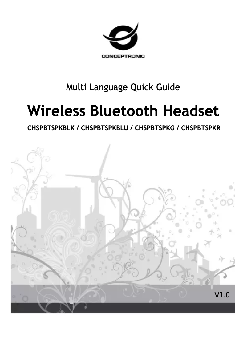 Image de la première page du manuel de l'appareil CHSPBTSPK