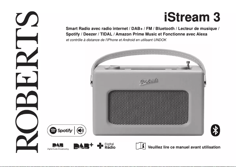 First page image of the manual for Revival iStream 3