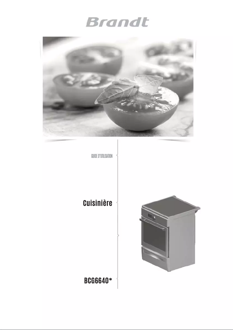 Page 1 of the manual Instruction Manual Brandt BCG6640X