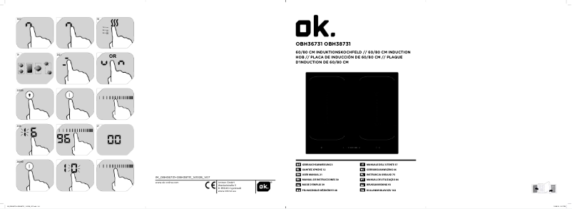 Page 1 of the manual User Manual OK OBH38731