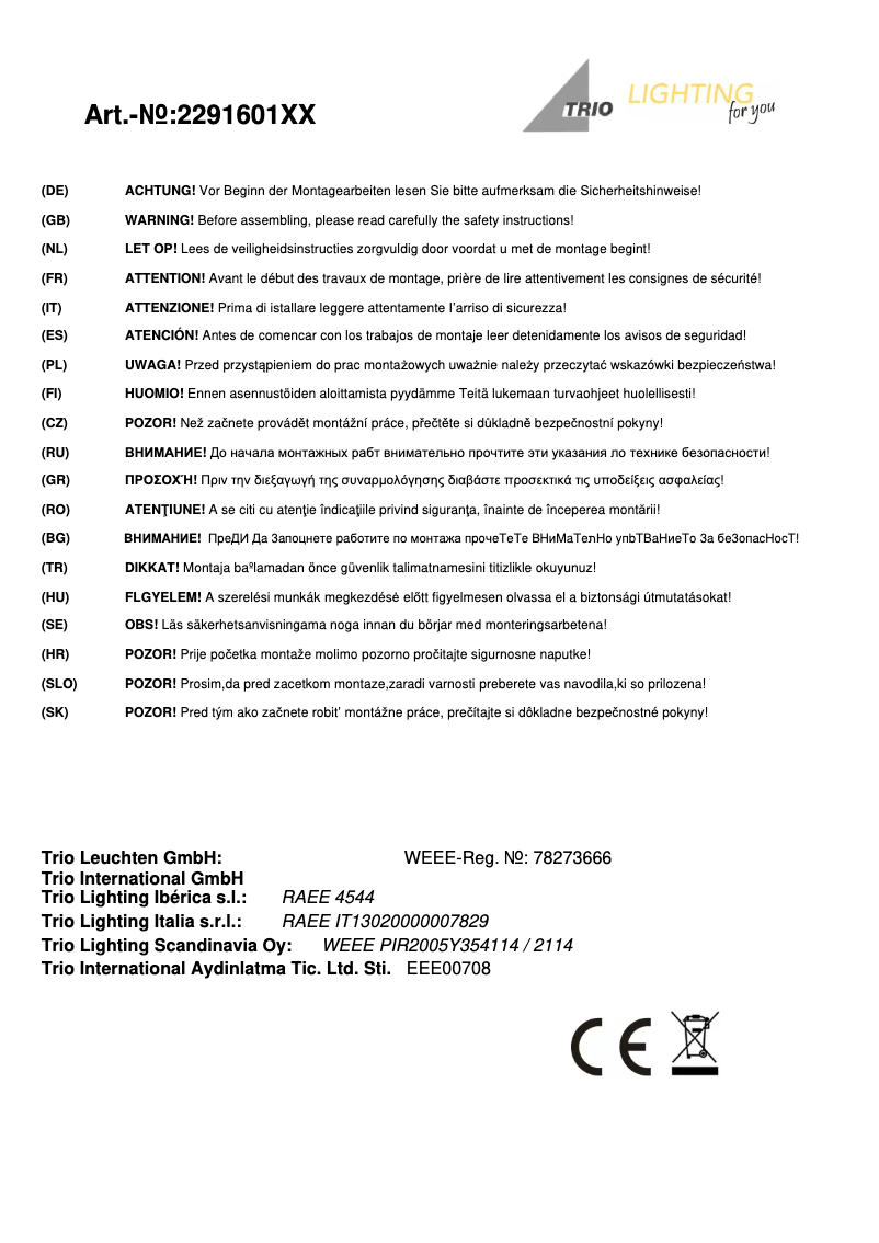 Page 1 of the manual User Manual Trio Lighting Tiber 229160142