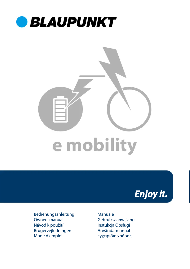 Page 1 of the manual User Manual Blaupunkt FRIDA 500