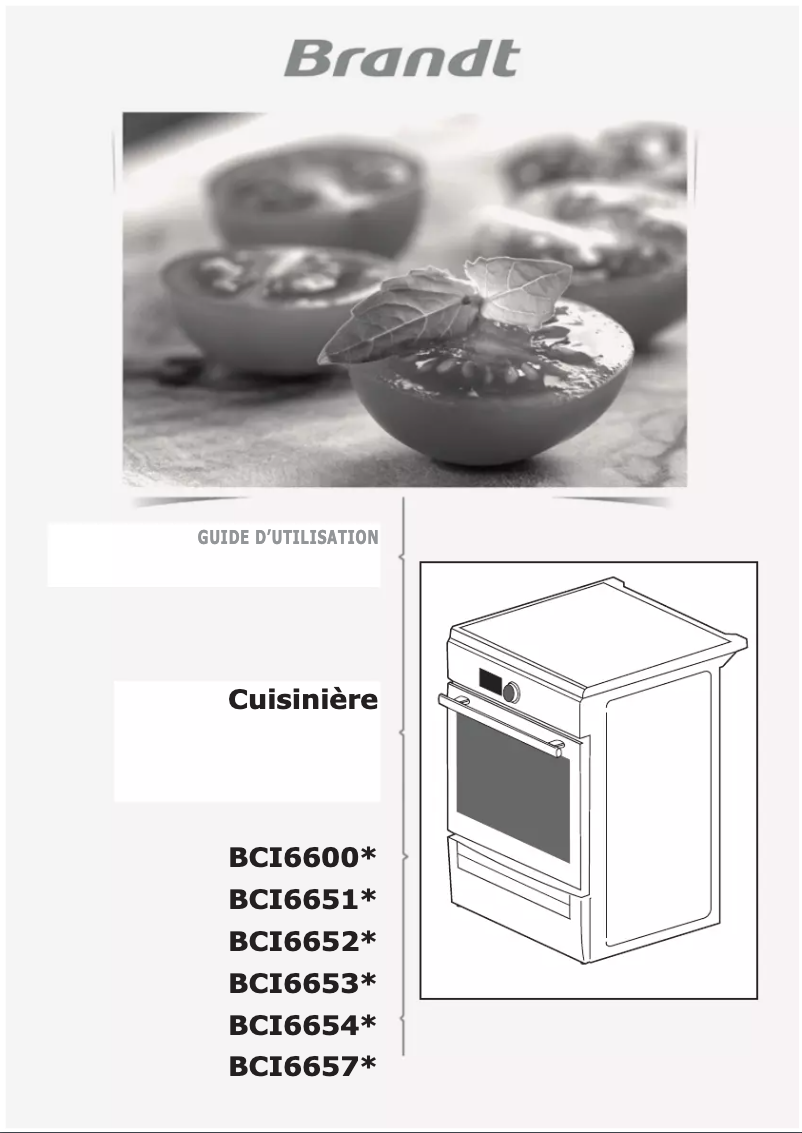 Page 1 of the manual User Manual Brandt BCI6600W