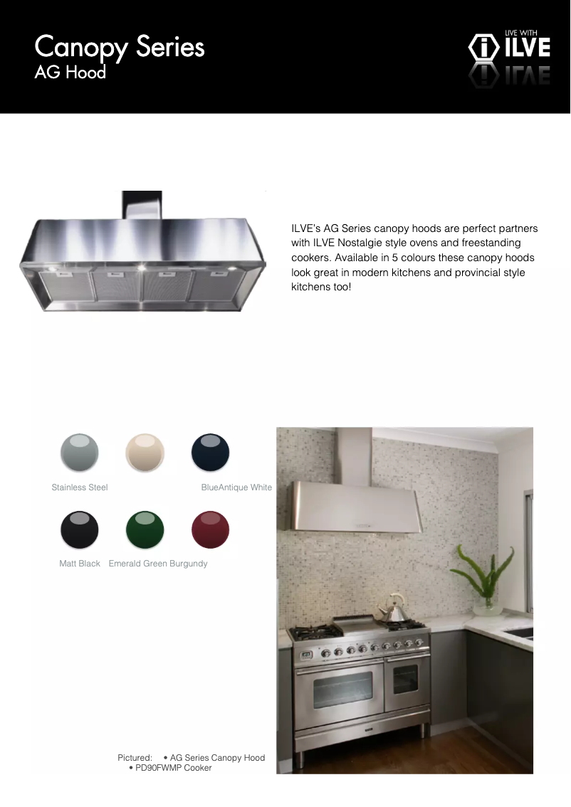 Page 1 of the manual User Manual Ilve AG90SS